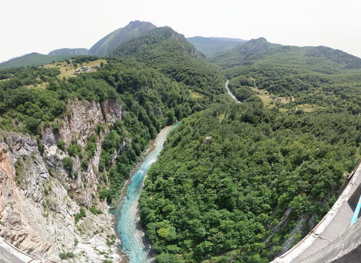 Drterrens tweet media