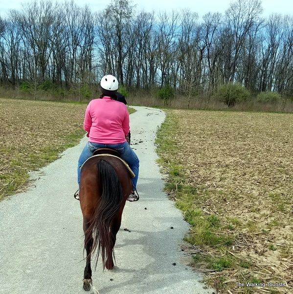 All kinds of adventure await at Strawtown Kotweei Park in <a href="/VisitHamiltonCo/">Visit Hamilton County, Indiana</a> including Archery, horseback riding, hiking trails, an aerial adventure trail and much more buff.ly/2W5E2Cv #MWTravelChat <a href="/VisitIndiana/">Visit Indiana</a>