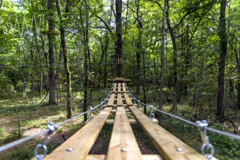 The Walking Tourists tweet media