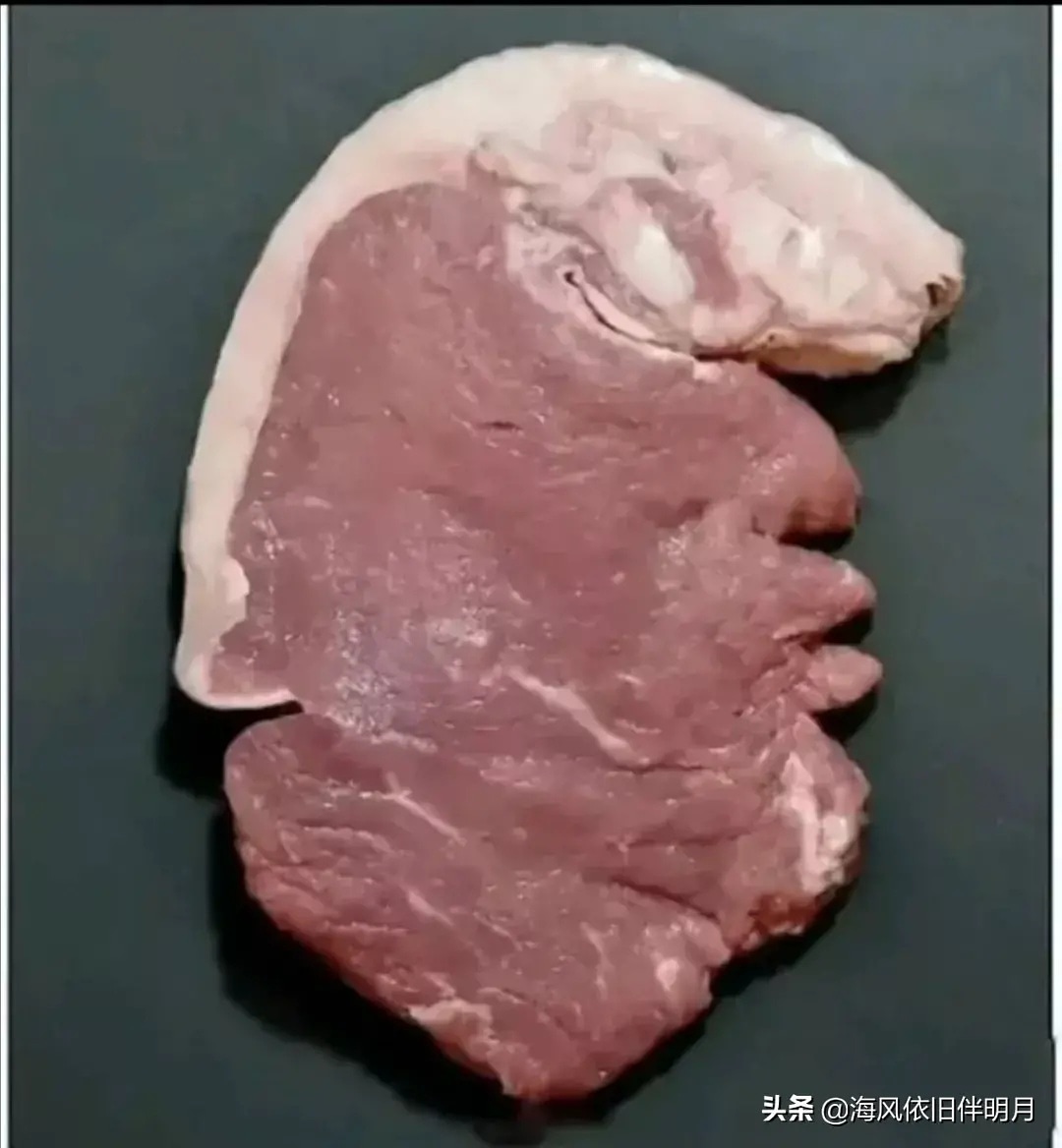 ojehe_'s tweet photo. trump🤪#pork #trump #funny #LOL #fun #meat https://t.co/lr5USqdQpJ