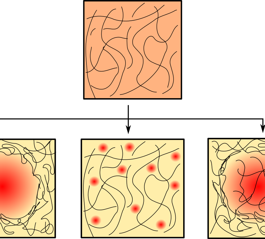 BppbSeminar's tweet photo. Friday July 23, at 8 am pacific/9 am mountain/10 am central/11am eastern in the US, 4 pm in the UK/5 pm in central Europe/8:30 pm in New Delhi.

Enzyme-driven active matter - Jennifer Ross
Elastically limited liquid-liquid phase separation inside cells - Pierre Ronceray https://t.co/LvJupMQP47