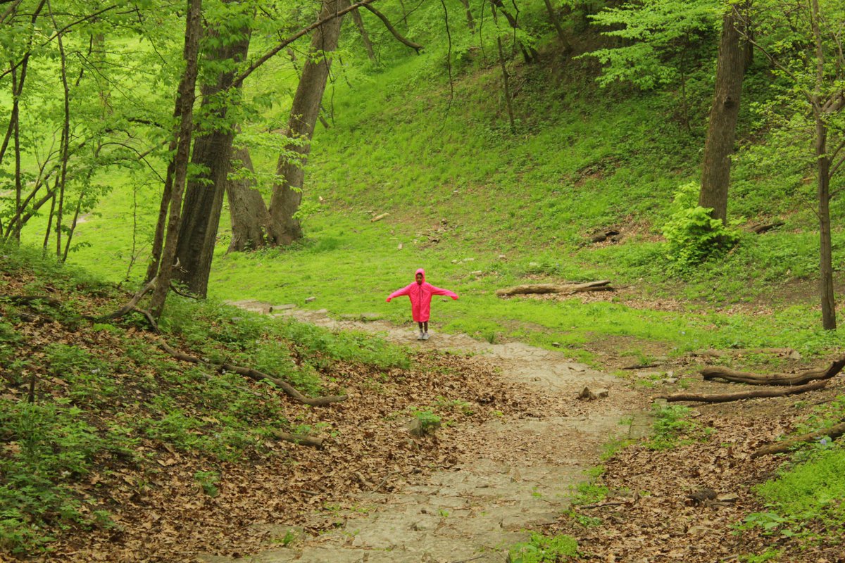 Sarah Abrahamson tweet media