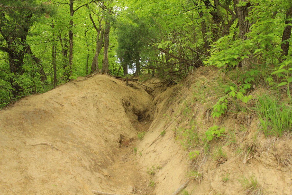 <a href="/mwtravelnetwork/">Midwest Travel Network</a> A1: I don't know if it counts as an "adventure park", but we sure had a fun adventure hiking at Hummel Park Nature Center!  #MWTravelChat #VisitOmaha