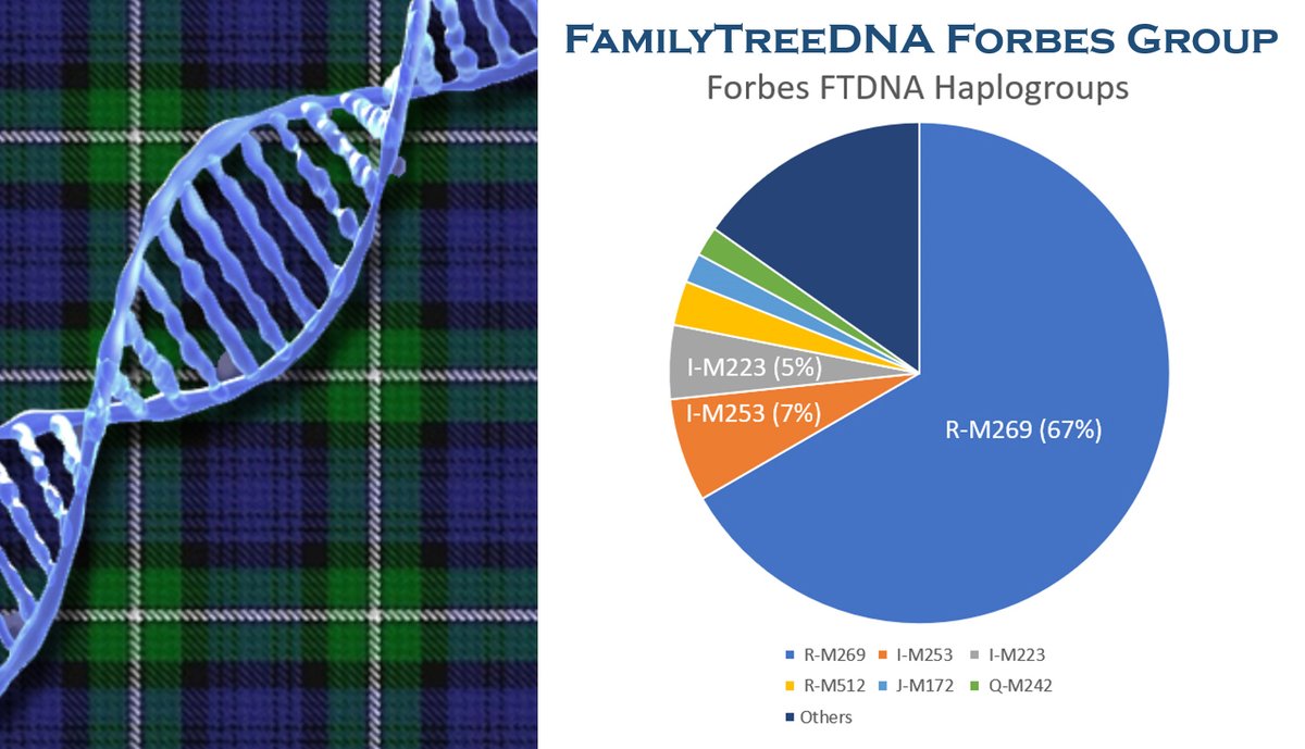 ClanForbes1's tweet photo. New formal Forbes DNA project seeks participants! https://t.co/k3mYismUtA
#clanforbessociety #gracemeguide #lonach #castleforbes #scottish #genealogy #scotland #familyhistory #forbes #forbeshistory #scottishgenealogy @familytreedna #familytreedna #scottishdna #ancestry @ancestry https://t.co/I9Fuw953vc
