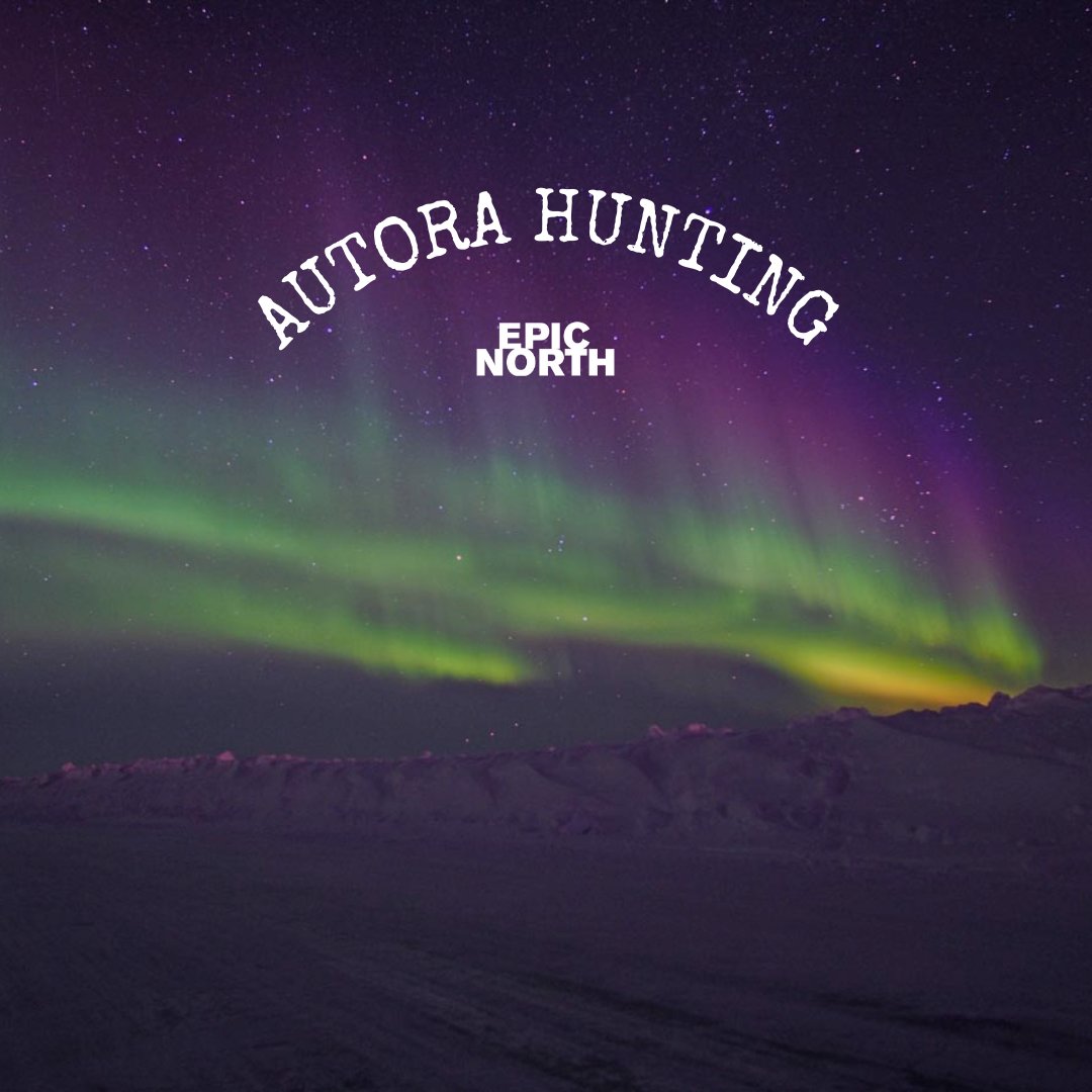 No matter if you see yourself as a hunter or not, this unique Aurora hunting night trip will leave you speechless! And possibly breathless. 😱

Book now! 👉 epic-north.com/yukon-alaska-d… 

#customtours #travel #traveldestinations #auroraborealis