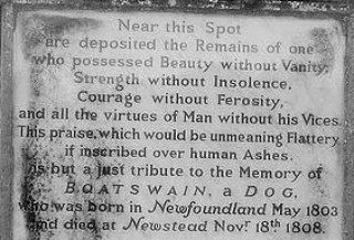 Galatea Llibres tweet media