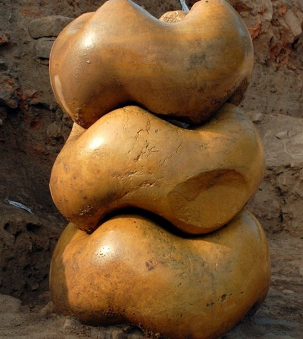 Polished pillar from #Harappa
History of polished pillars in India dates back to 3-2nd millenium BCE. Excavation at Dholavira also yielded similarly polished pillar elements #incredibles Architecture