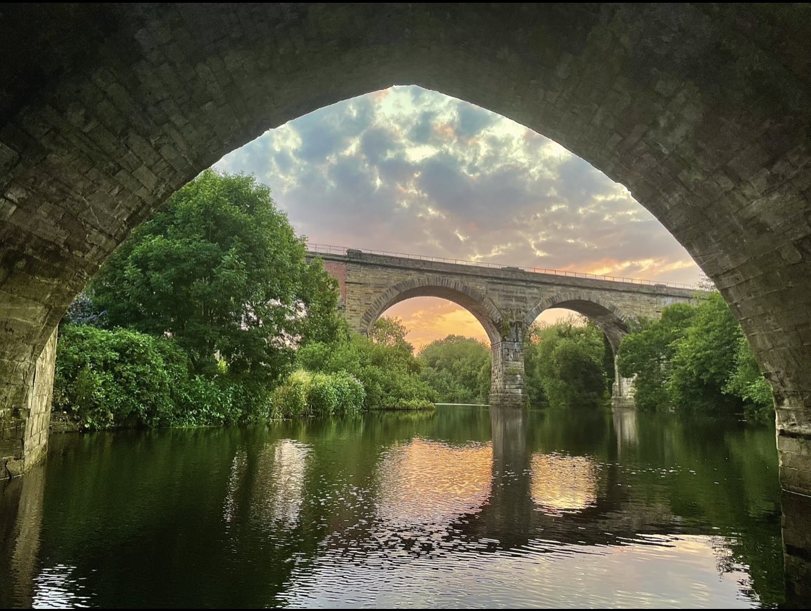 David Knowles Photography tweet media