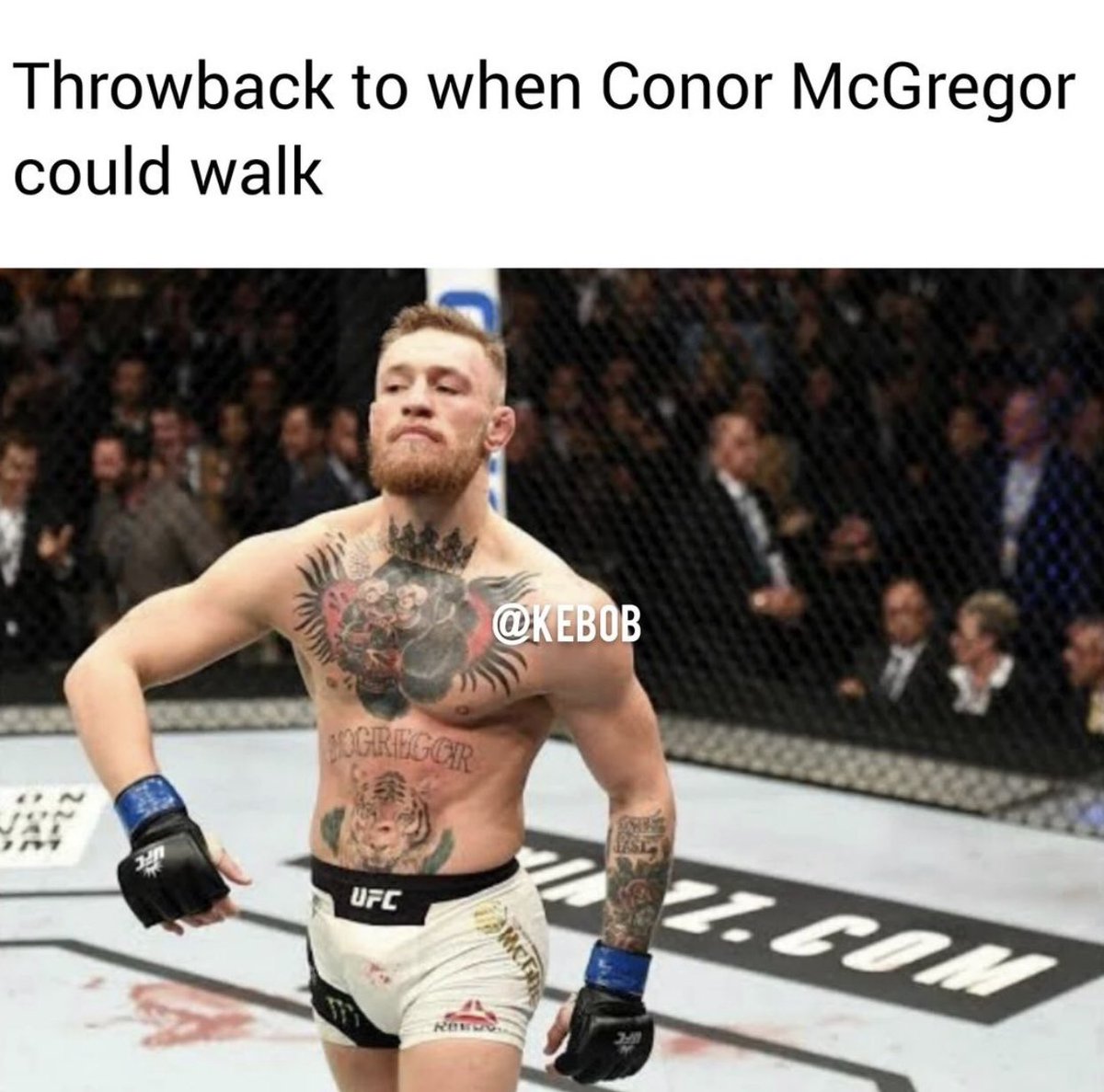ZohibAFG's tweet photo. @TeamKhabib https://t.co/1DNtaNwml2
