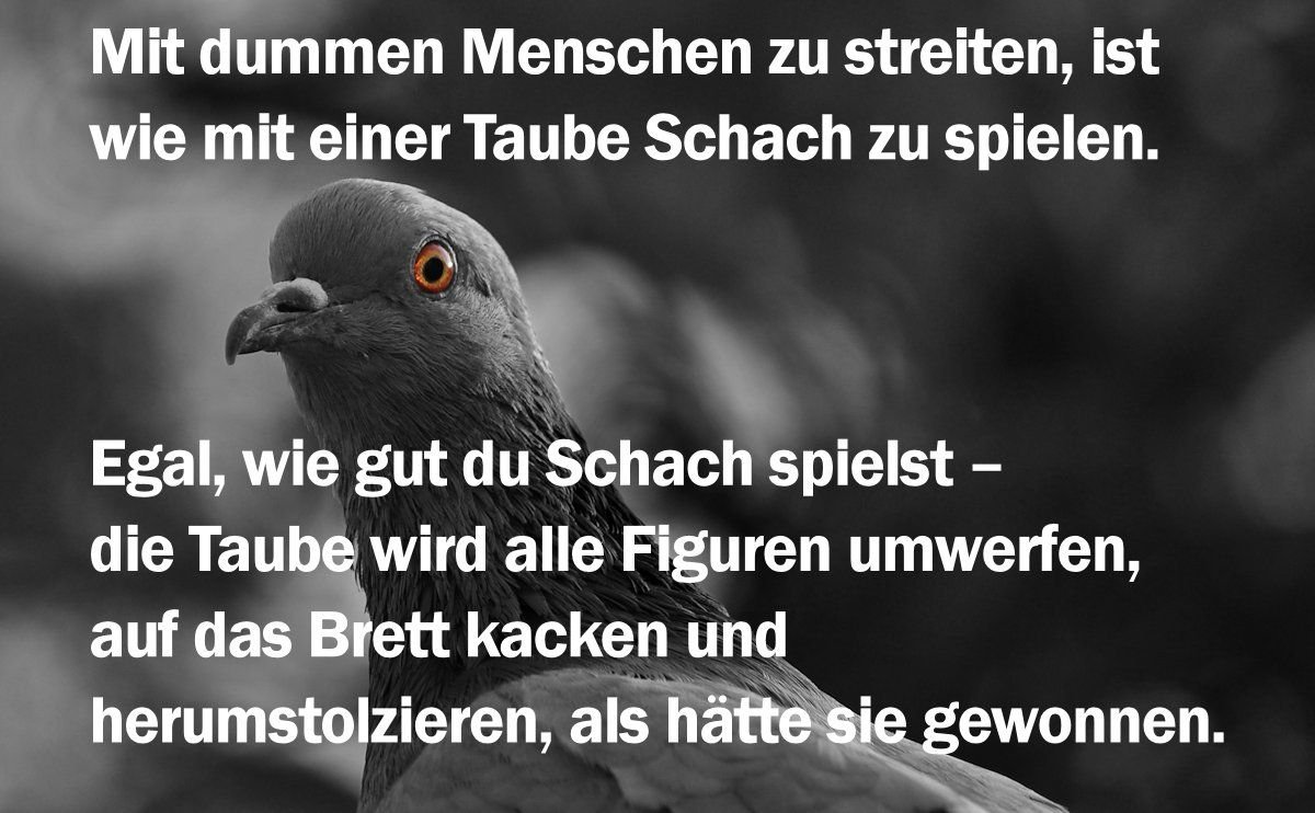 Kyrindor's tweet photo. mag ich! https://t.co/Z7GHVPqKFR