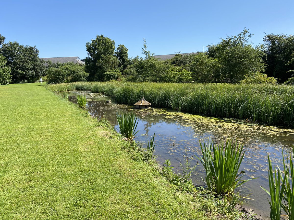 Will Foster tweet media