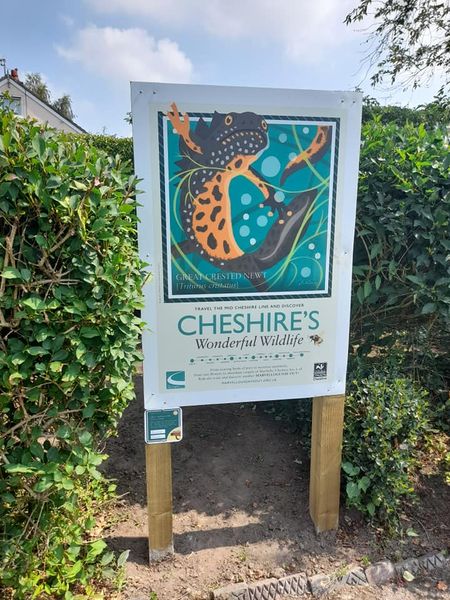 MidCheshireCRP's tweet photo. If you missed the @nickythompsona1 Wonderful Wildlife exhibition at Tatton Park, head to Vickersway Park in #Northwich where the artworks are now on display. 

From this weekend, kids can also enjoy an activity trail and enter an art competition to win @CheshireWT memberships. https://t.co/QXeje9xI0n