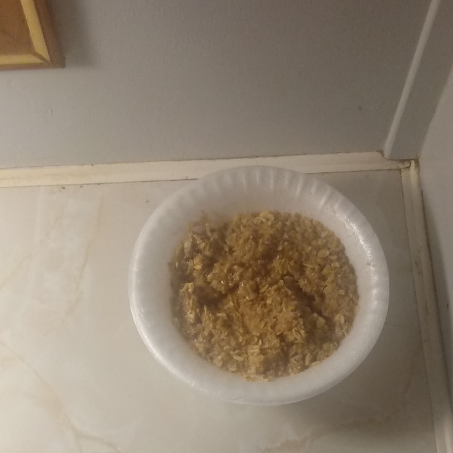 JustinSobieski's tweet photo. On July 21, 2021 I had #AppleCinnamon #Oatmeal for a #WednesdayBreakfast and that was #Delicious. #Cocoa #Florida #July #July2021 #Summer #Summer2021 #Breakfast #Wednesday #Photo #Gallery #Summertime #BreakfastOfTheDay #Photography #Twitter #WednesdayMorning 👍 💯 🔥 😋 💚 ❤ https://t.co/H5JGahcCSo