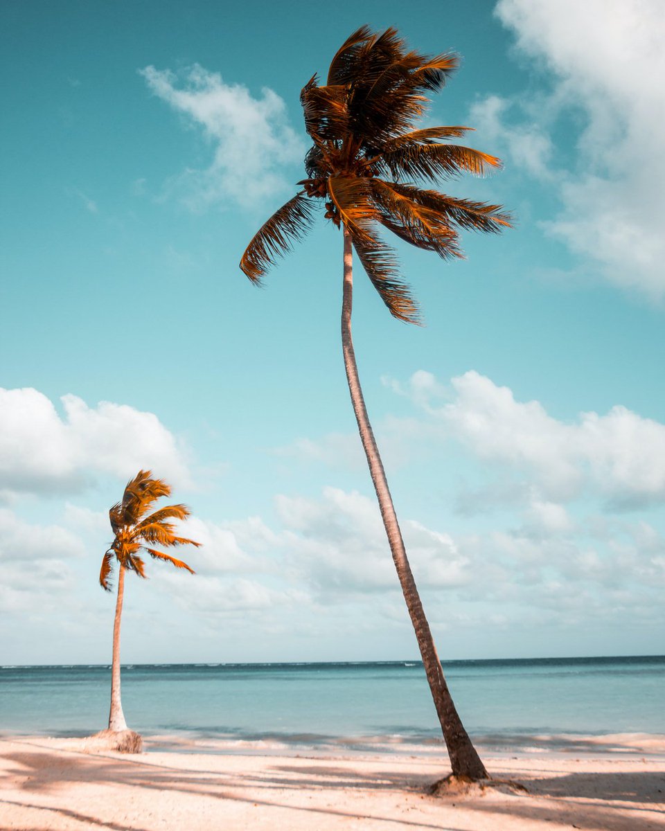 "If my life were a fragrance, it would smell like the sea."
- Sanober Khan

Repost our giveaway post in your stories today to win 5 extra entries! We will be recording all extra entries! (Make sure you are tagging us!) Good luck! 😊️