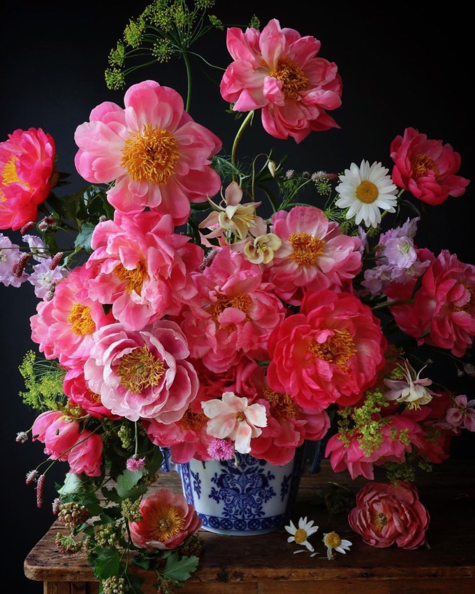SouthernLadyMag's tweet photo. Pink peonies reign supreme in this stunning floral showcase arranged by @cakeatelieramsterdam.  

📸 : @cakeatelieramsterdam (On Instagram)

#southernladymag #pinkflowers #floralinspo #flowers #floralarrangement #centerpiece #peonies #pinkpeonies #chinoiserie #floralarranging https://t.co/PBZG195sk4
