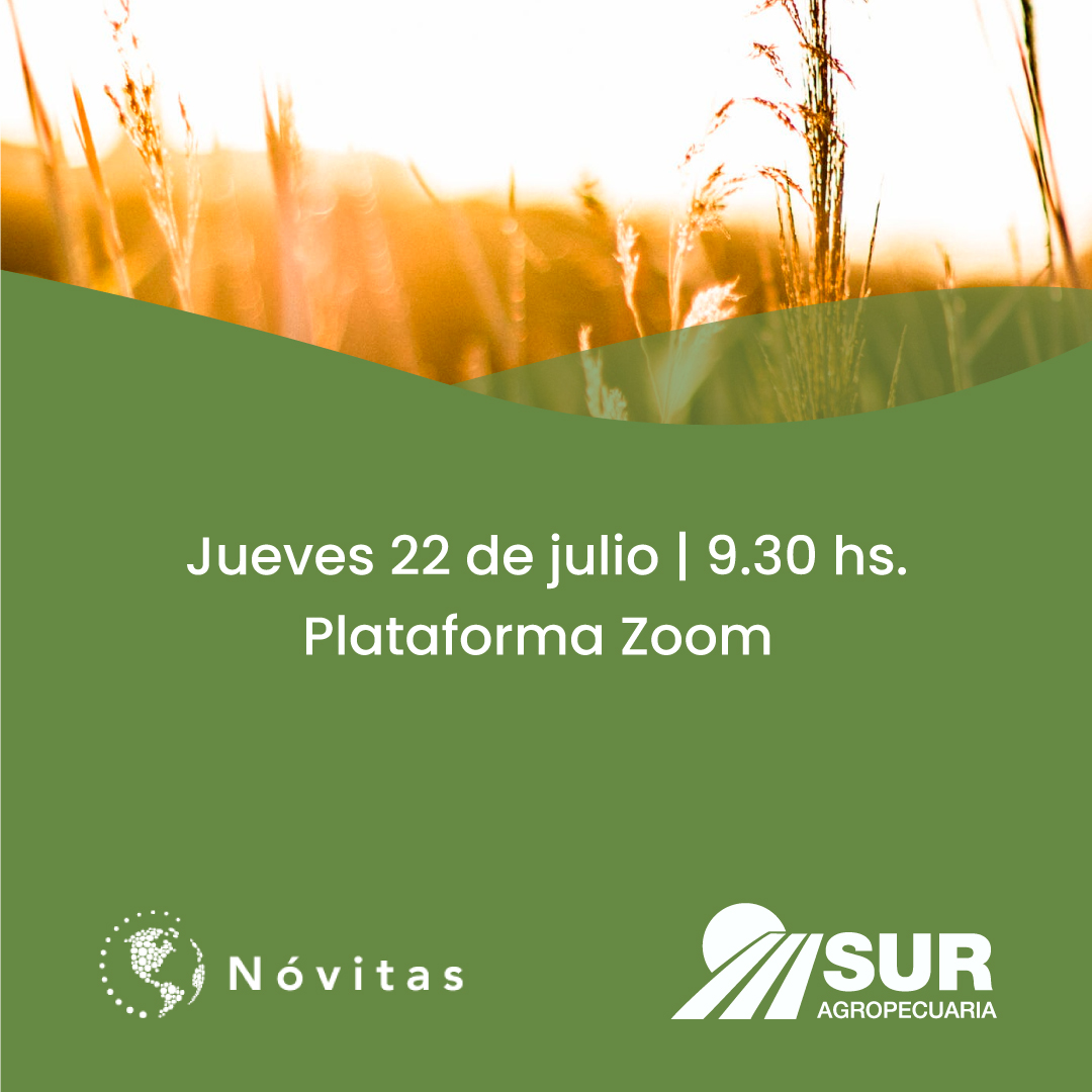 SurAgropecuaria's tweet photo. Todos los meses nos reunimos por Zoom junto al equipo de @NovitasARG  para que nos actualicen  sobre el mercado de granos🌾.
𝐉𝐮𝐞𝐯𝐞𝐬 𝟐𝟐 𝐝𝐞 𝐣𝐮𝐥𝐢𝐨 𝐚 𝐥𝐚𝐬 𝟗.𝟑𝟎 𝐡𝐬
𝐒𝐢 𝐭𝐞 𝐢𝐧𝐭𝐞𝐫𝐞𝐬𝐚 𝐩𝐚𝐫𝐭𝐢𝐜𝐢𝐩𝐚𝐫 ,𝐜𝐨𝐦𝐮𝐧𝐢́𝐜𝐚𝐭𝐞 𝐜𝐨𝐧 𝐧𝐨𝐬𝐨𝐭𝐫𝐨𝐬 https://t.co/34qGncssEG