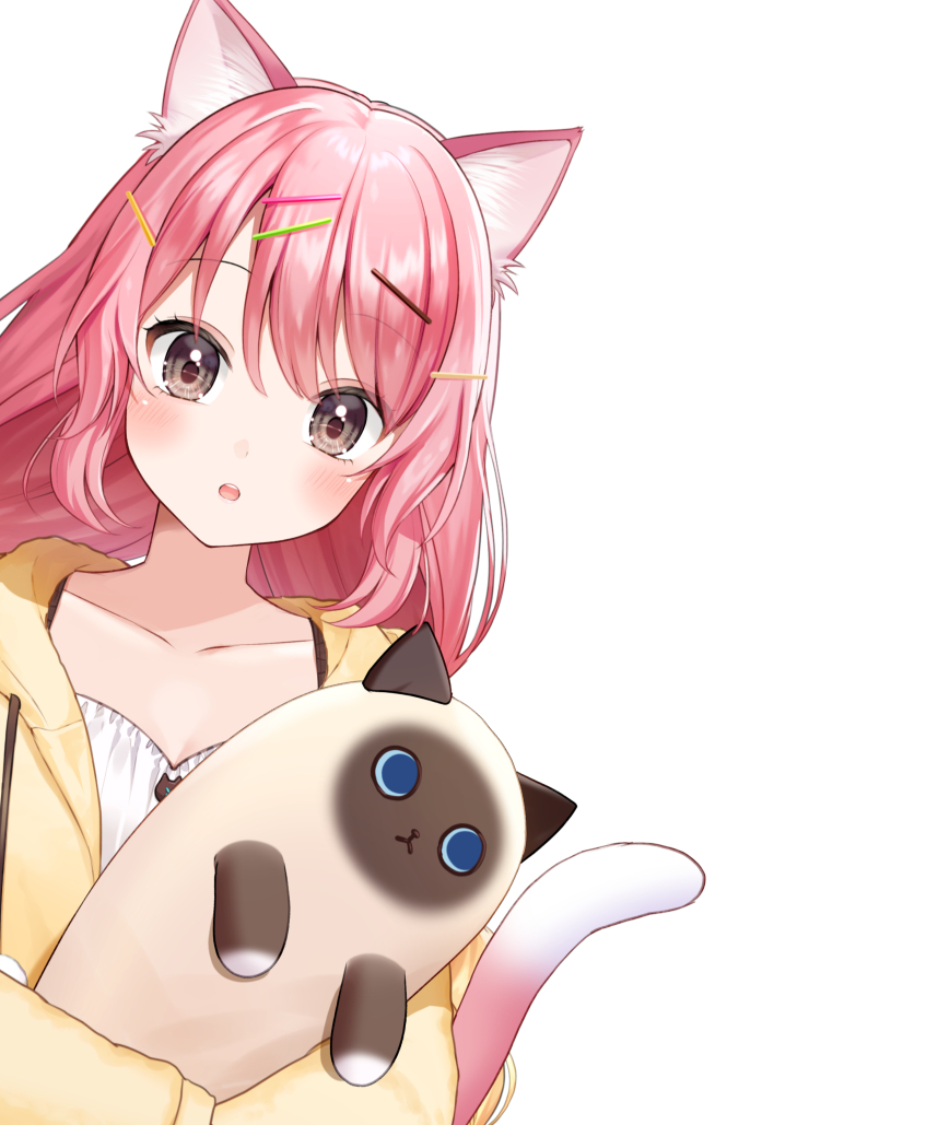 ももしき Momoshiki Twitter