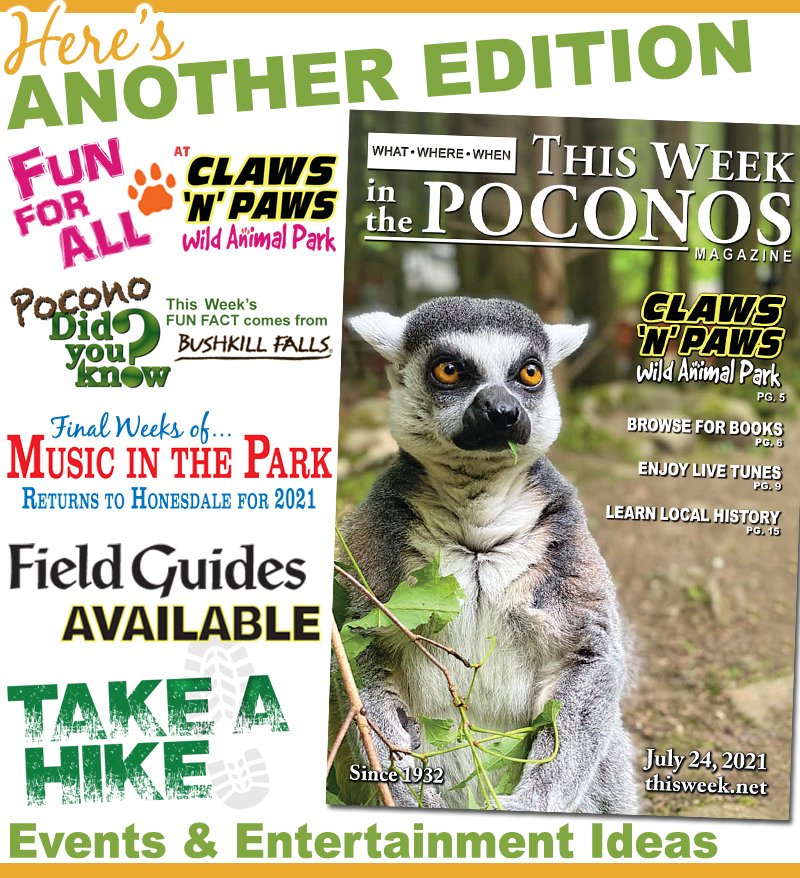 This Week Magazine tweet media