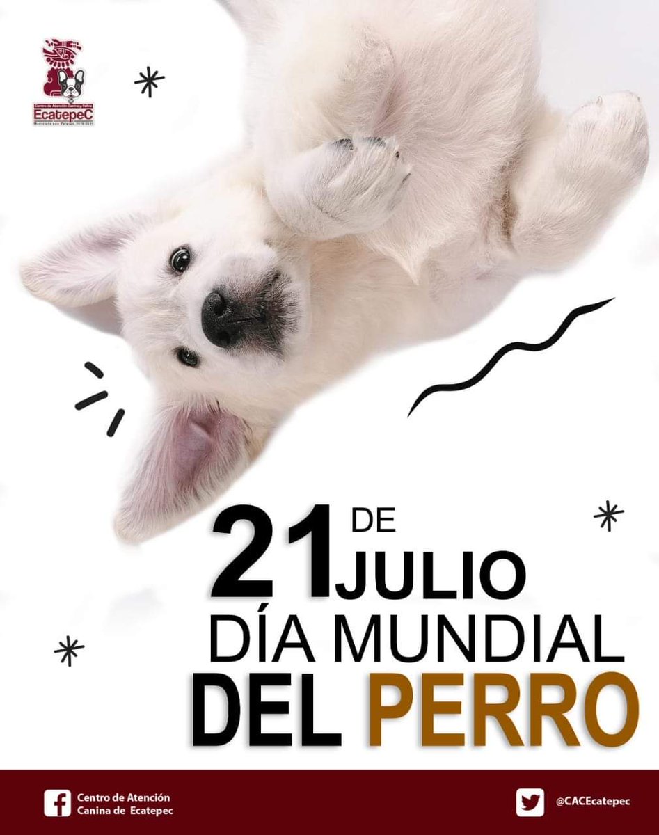 #21deJulio | Es momento de celebrar a nuestro amigo incondicional y consentirlo.🐾🐶
Cuidemos de los pequeños que nos brindan su amor sincero, tomemos conciencia sobre ello y hagamos que tengan una vida digna y feliz. 
#DIFEcatepec #MunicipioConValores