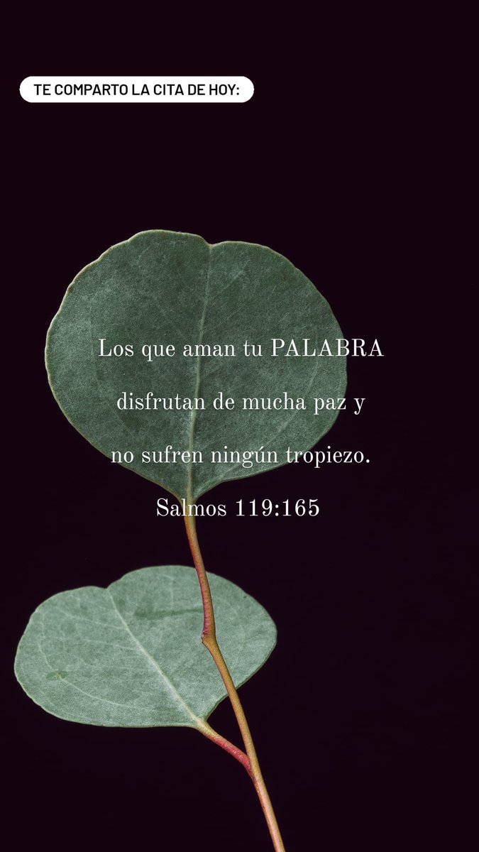 idmnacional's tweet photo. 🙏 https://t.co/8fxX4UI4ur
