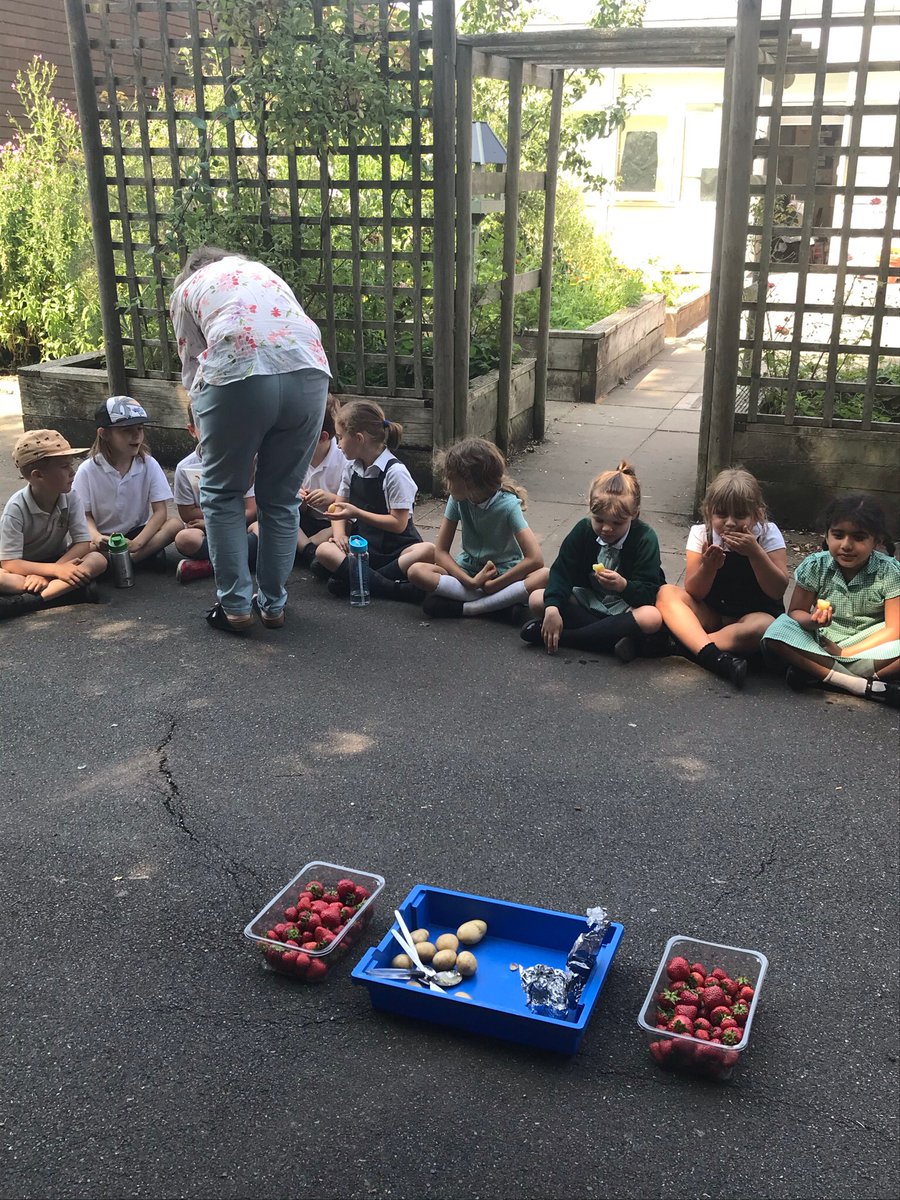 SnakesClass's tweet image. A perfect potato picnic to end our last day in year one and to say a special goodbye to the wonderful Mrs Musgrove. @SquirrelMonk9 💓 🥔 🍓