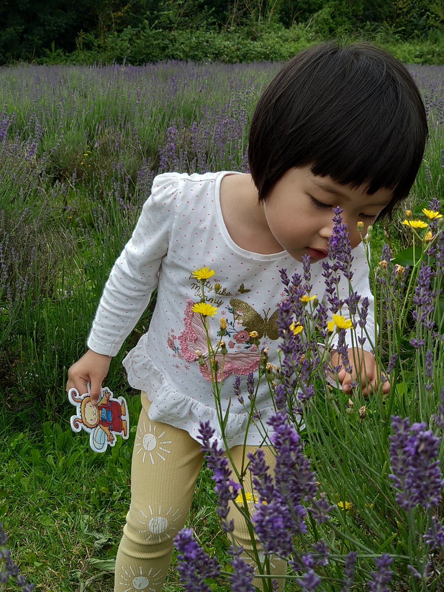 LeiQball's tweet photo. Summer is coming! The lavenders smell so good. Come on, Bookbug. Have a try! @Bookbug_SBT #Bookbug #GetIntoSummer https://t.co/NEoZ4vyR4K