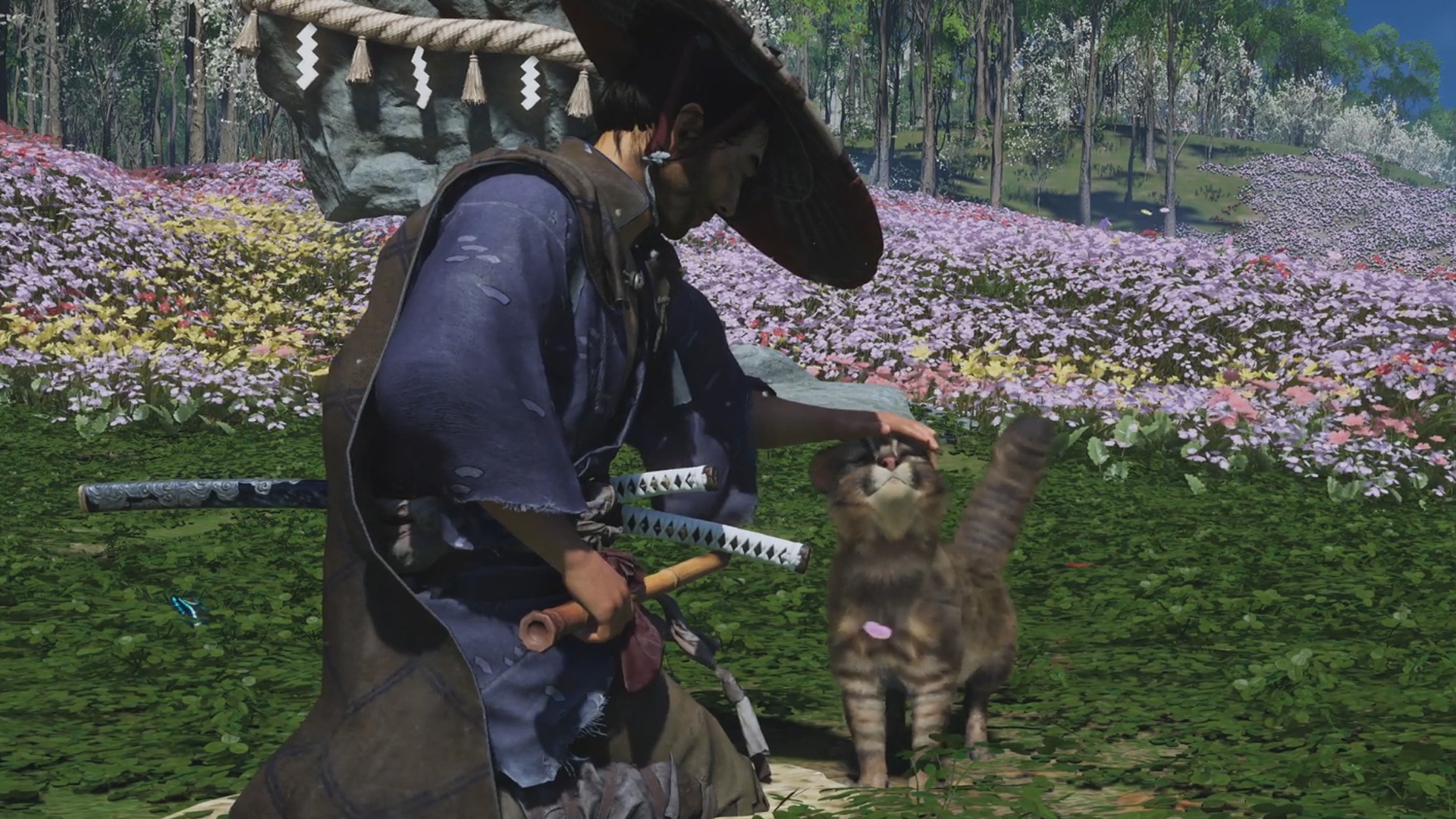 [閒聊] 對馬戰鬼導演版重大功能 擼貓