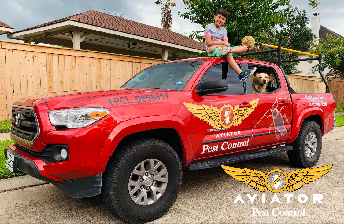 Arlington_Nunez's tweet photo. We been a little exhausted lately passing out flyers &amp; knocking on strangers’ doors to spread the word on the pest control business I have started. I was wondering if yall may retweet this so anyone in Houston can contact me for their pest services please! Call/Text: 832-506-3556 https://t.co/PpOy7Dg23W