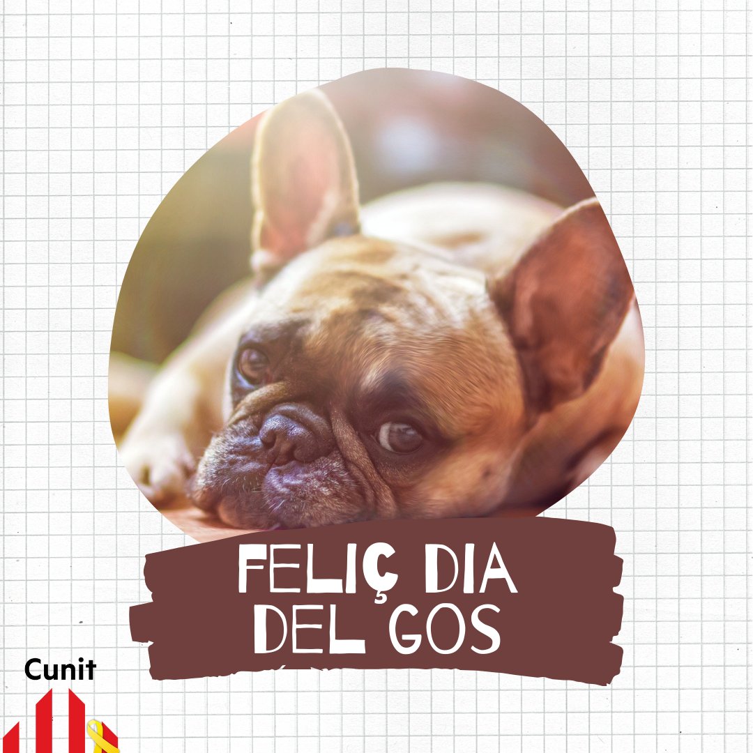 ErcCunit's tweet photo. Bona tarda cunitencs i cunitenques.
Avui és el dia mundial del 🐶 i com som animalistes, no podíem deixar de reivindicar aquest dia, el dia dels peluts.
Així que, protegim-los i estimem-los com es mereixen.
Feliç Dia del 🐶
#diamundialdelgos #erccunit #passióxcunit https://t.co/WaNxNr87yF