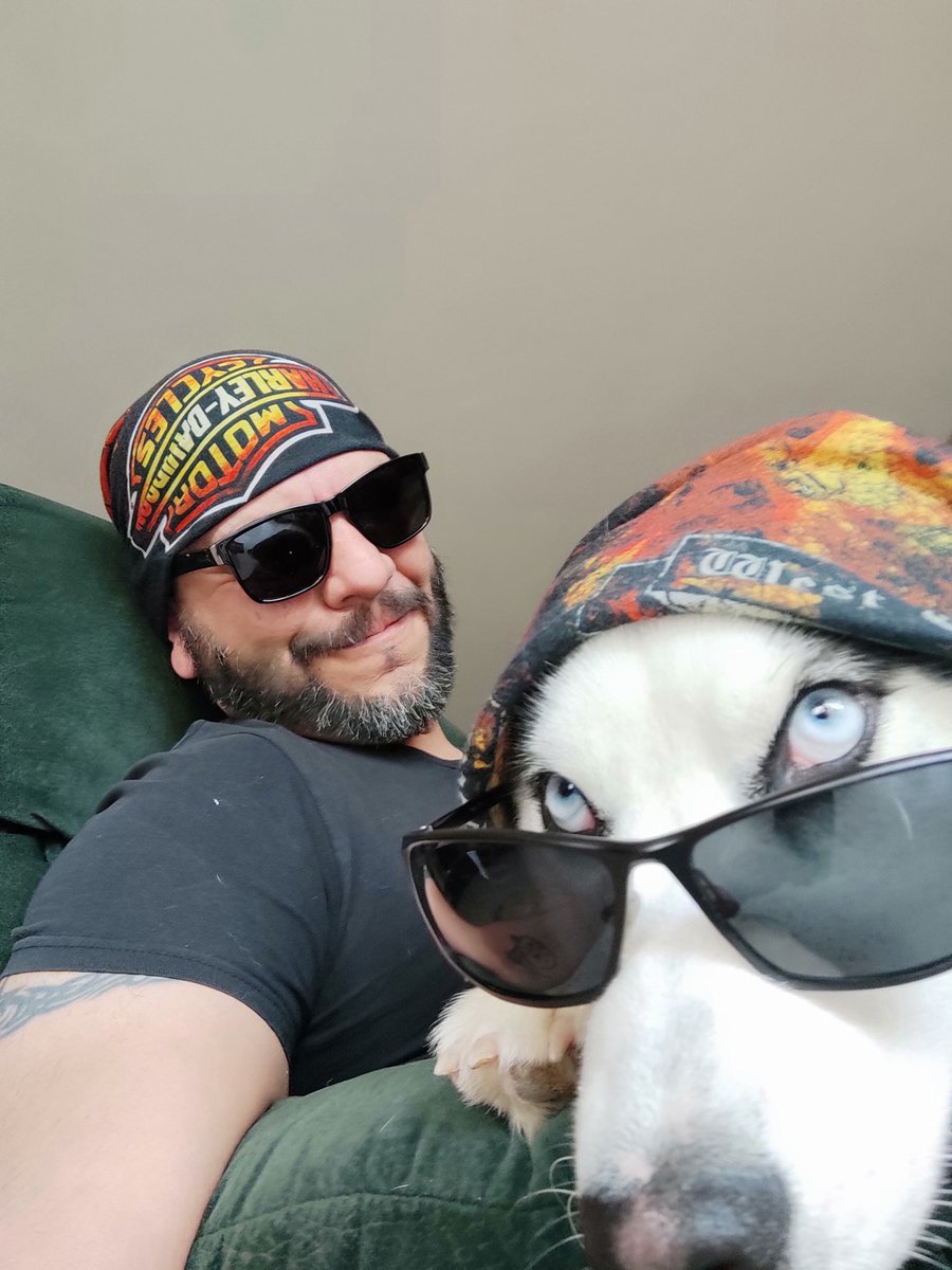PokerVader's tweet photo. Si, somos ociosos y?

#Leiah

#DiaMundialDelPerro https://t.co/JhNdXpcBz5