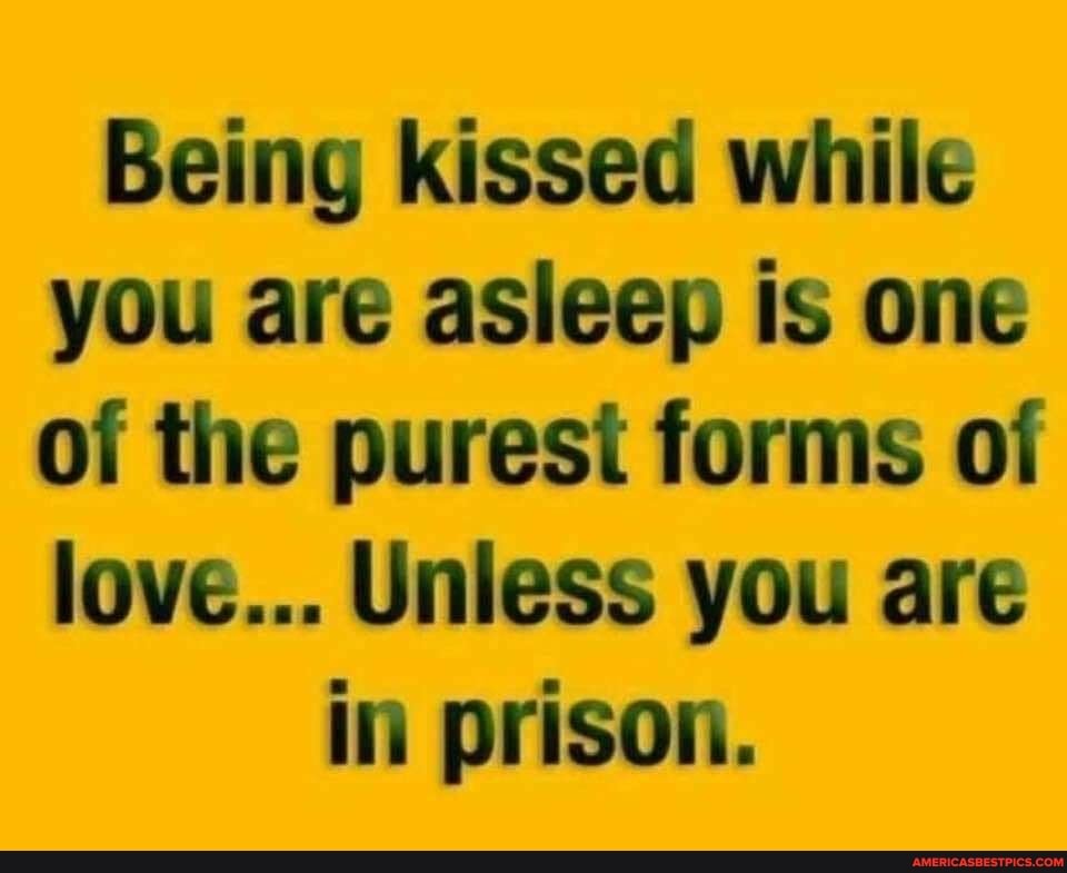 Sammy Hoshigaki (@bkisame) on Twitter photo 