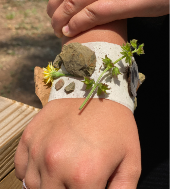 MillerEduLeader's tweet photo. 4th and 5th graders went outside used four of their senses to investigate living and nonliving things in the park. They recorded and discussed their findings. So much fun! @UCPSNC @MarshvilleES_NC @WingateES_NC @AGHoulihan @Renee_McKinnon1 #UCPSSummerLearning https://t.co/TyYYaZoapu