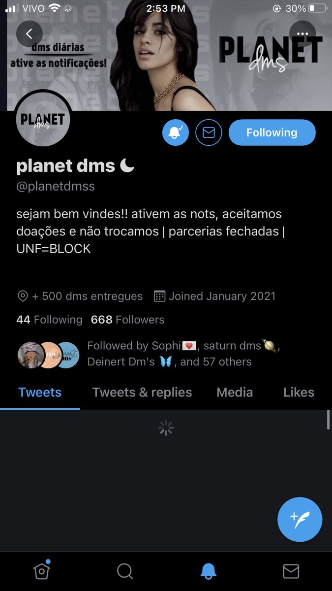 shwnvandijkk tweet picture