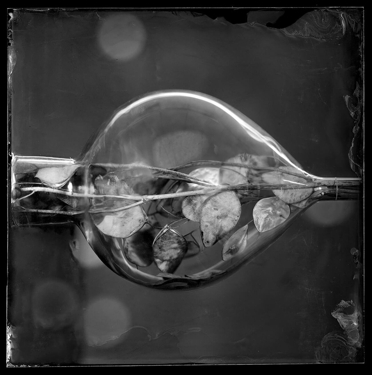 Peter Eleveld <a href="/petereleveld/">Peter Eleveld</a> is one of the winners of AAP Magazine B&amp;W.

Featured image: Still Life with Glass