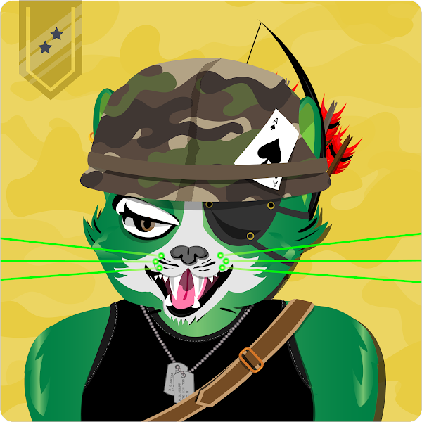 YungShow's tweet photo. The sensei always shows gratitude... I got real lucky with @MadCatMilitia on the latest MCM airdrop. I opened the crate and found this #BattleBrigade Captian

Thanks homies, so grateful

#NFTs https://t.co/NoGl7jhnXa