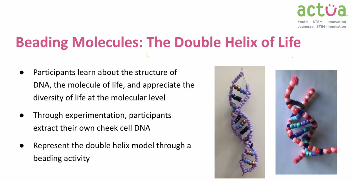 Wow! Leveraging cultural appreciation of indigenous beading to facilitate learning about DNA – – what a great idea! Thank you #NaomiBender for sharing this science and arts link. 🪡 🧬 #InSTEM #actuateaching #stem #summerlearning