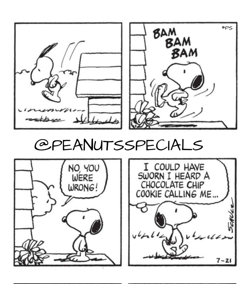 First Appearance: July 21, 1982
#snoopy #charliebrown #bambambam #no #wrong #icould #sworn #iheard #chocolatechipcookie #calling #me #peanutswednesday #peanutshome #schultz #ps #pnts #peanuts #peanutsspecials