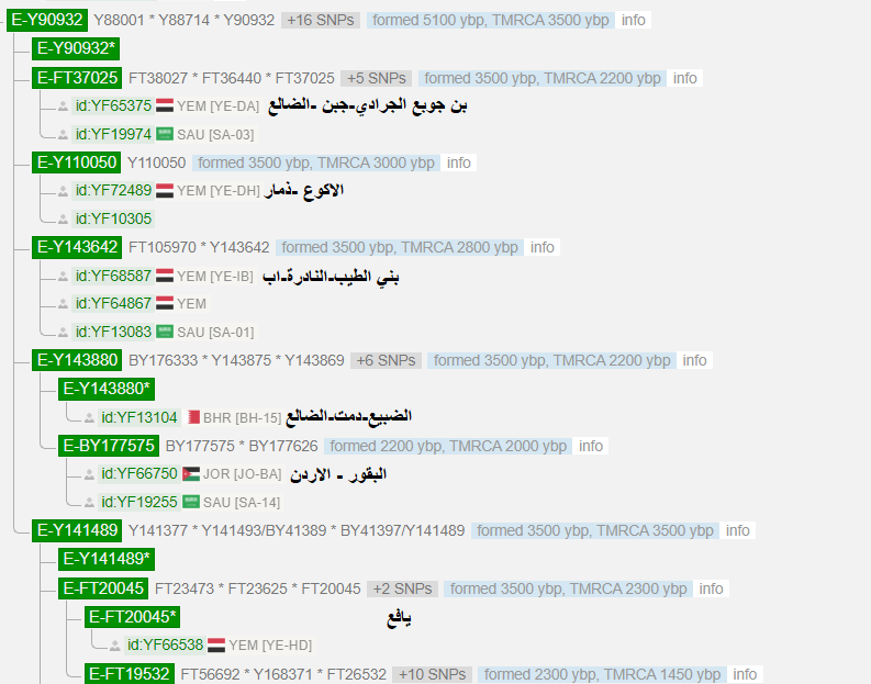 E_m84_results's tweet photo. -عمر التكتل الجيني اليمني Y90932 كالتقاءات مباشرة يصل 3500 سنة و عليه مواريث حميرية من مناطق مختلفة .

-عمر انفصال التقاء عشيرة البقور الاردنية  عن العينات اليمنية يقارب 2200 سنة.

-تركيز التحور Y90932 الجغرافي بتركيز اكبر بين:
 (ذمار شمالا مرورا بإب وصولا ليافع جنوبا). https://t.co/vmibfLZinw