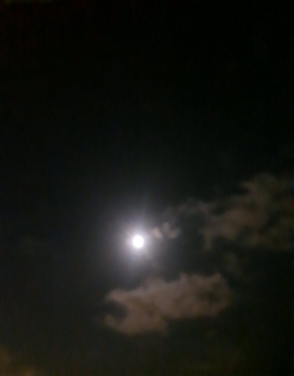 sam51875699's tweet photo. @mark74993633 هو ده https://t.co/b3MYsaH24q