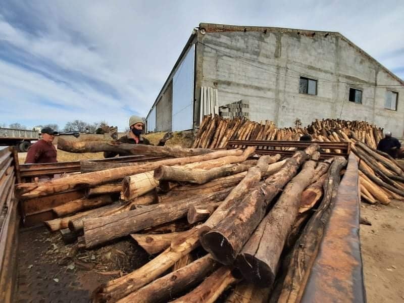 dsocialrc's tweet photo. ✅ En el Corralón Municipal, 30 productores locales, recibieron cada uno 100 postes, 12 torniquetas y 3 rollos de 1000 metros, para remediar los daños que sufrieron a consecuencia de los incendios forestales. https://t.co/4grndf0PNb