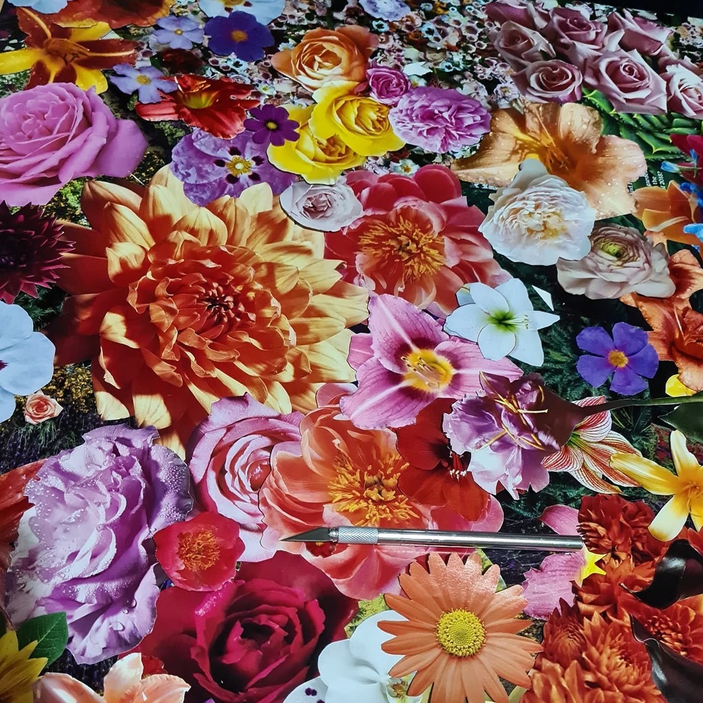 MKSharpStitches's tweet photo. If you've seen my stories, you've seen glimpses of my latest #WorkInProgress #collage

I think it's about 24x36in and I have so many flowers I'm almost thinking of doing a second one... only the background is glued at the moment so I'm curious to see how… https://t.co/KcwTgq5XdL https://t.co/MzSul6h2VO