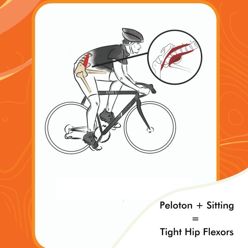#Peloton and indoor #cycling have become uber popular recently. But, did you know? That prolonged position shortens the iliacus and psoas muscles resulting in those muscles staying "on" all the time.

Learn more about staying healthy while cycling here -- buff.ly/2TSRMQs