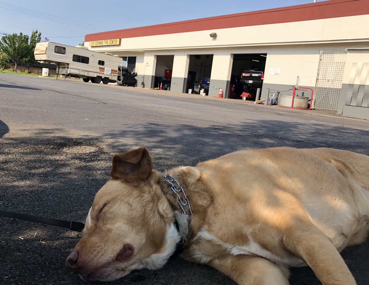 rickoh19's tweet image. When dad gets a big fat screw stuck in the tire but it’s also naptime …. @LesSchwab