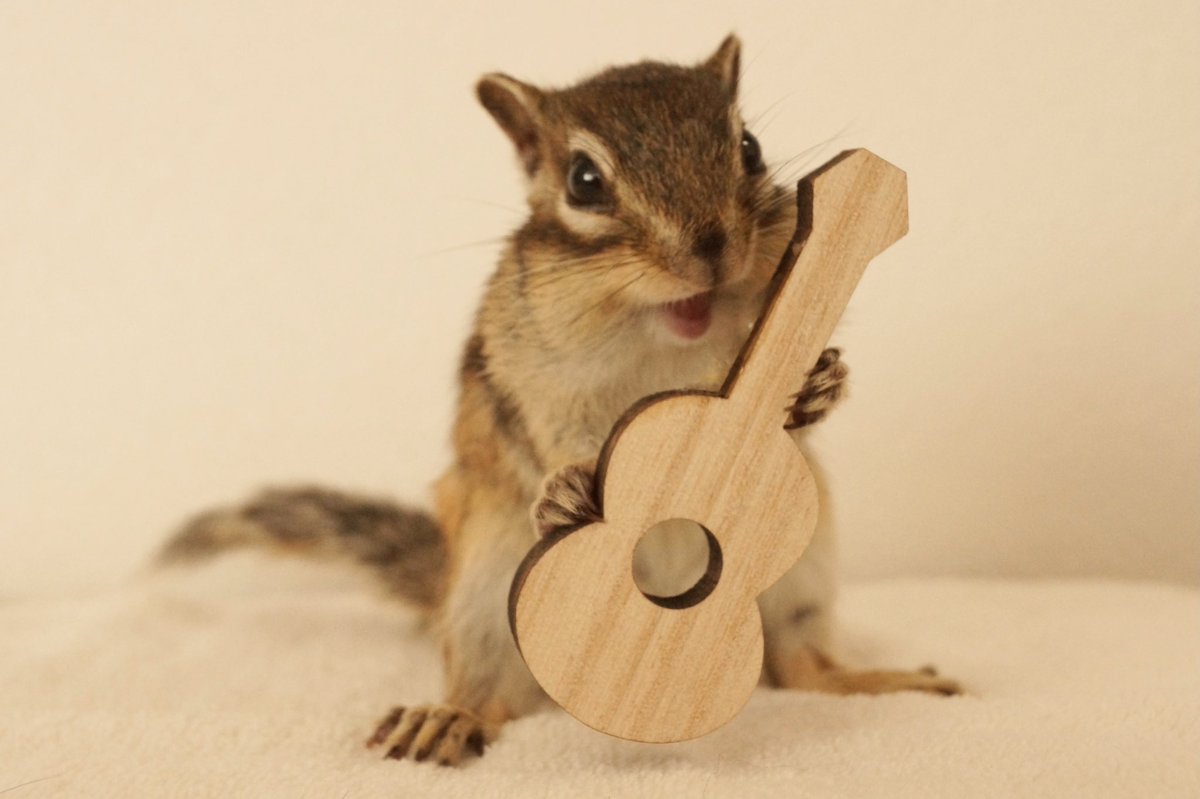 リス Twitter Search