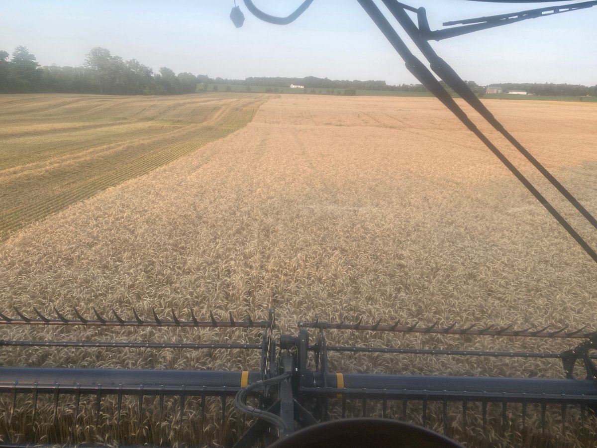 Life don’t get much better then this! #harvest21 #wheat #ontag