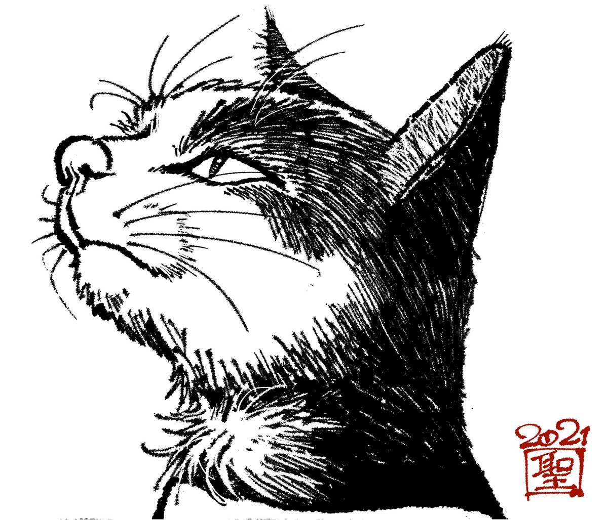 おはこんばんちわ Catcutsの漫画