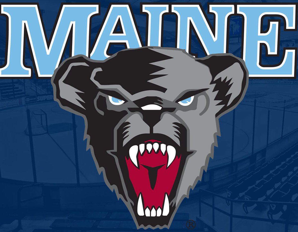 Platon Zadorozhny tweet media