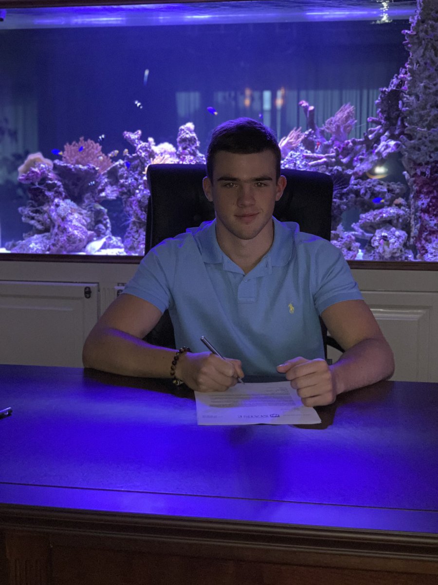 Platon Zadorozhny tweet media