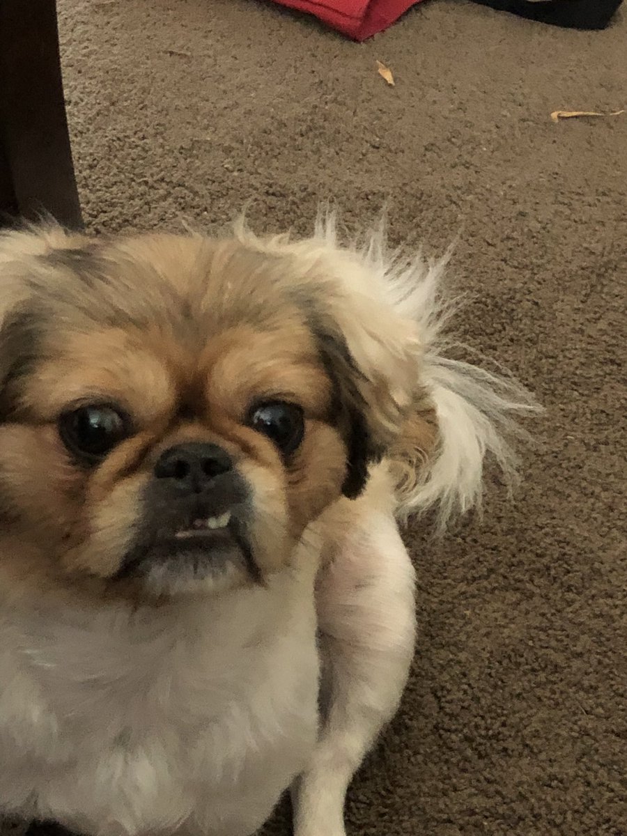 My face when someone wakes me up too early