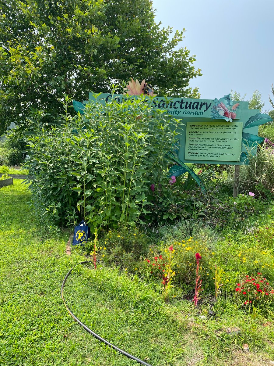 PocomokeMiddleSchool tweet media